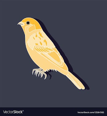 Sparrow paper sticker on stylish background vector image