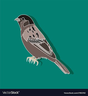 Sparrow paper sticker on stylish background vector image