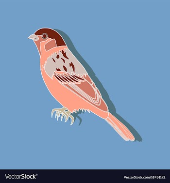 Sparrow paper sticker on stylish background vector image
