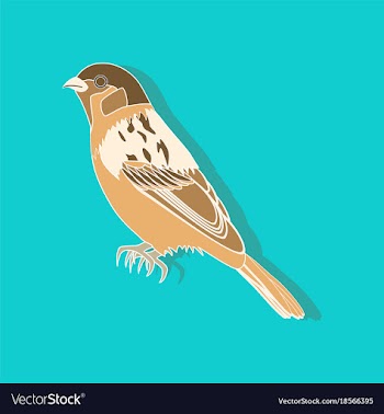 Sparrow paper sticker on stylish background vector image