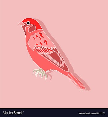Sparrow paper sticker on stylish background vector image