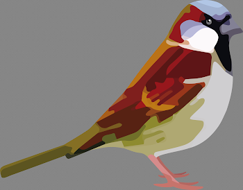 Sparrow PNG Photo