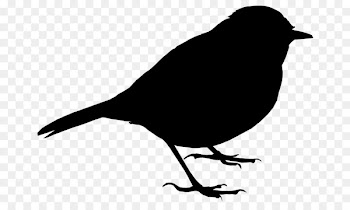 Sparrow, Silhouette, House Sparrow, Bird, Vertebrate PNG