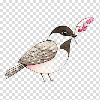 Sparrow transparent background PNG clipart