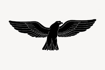 Sparrowhawk bird clipart, animal illustration | Free PSD - rawpixel
