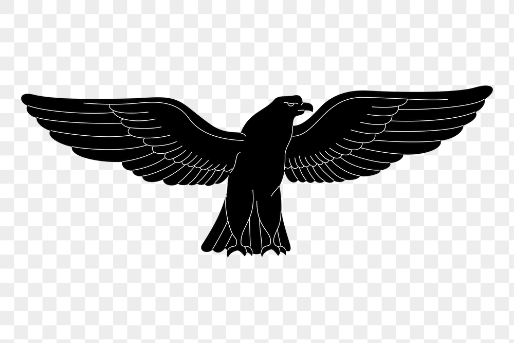 Sparrowhawk bird png sticker, cute | Free PNG - rawpixel