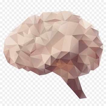 Special education Network-attached storage Infographic Educational technology - Geometric creative brain bubble 