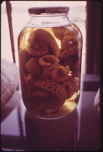 Specimens Used in Marine Biology | Free Photo - rawpixel