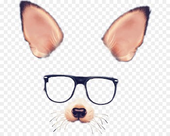 Spectacles Snapchat Photographic filter - filter snap chat 