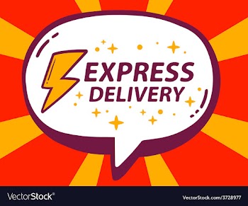 Speech bubble with icon of express delive vector image