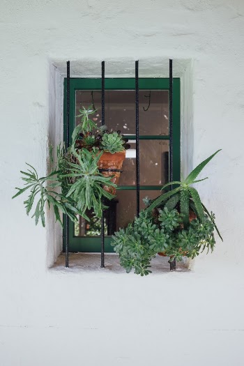 Spent the day at the Casa Romantica Cultural Center and Gardens in San Clemente — this window was a nice vignette.