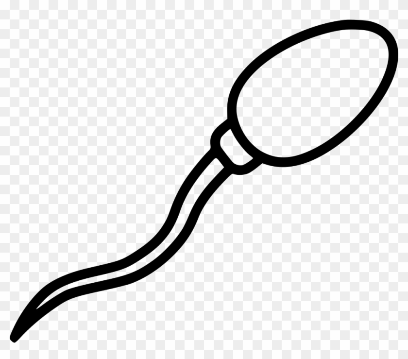 Sperm Comments - Sperm Png