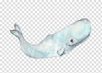 Sperm whale Paper Watercolor painting, Hand-painted whale transparent background PNG clipart