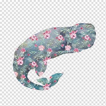 Sperm whale Watercolor painting, Watercolor print material whales transparent background PNG clipart