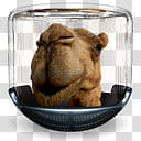 Sphere   , brown animal illustration transparent background PNG clipart