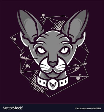 sphynx cat character