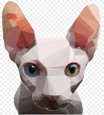 Sphynx cat Cornish Rex Kitten Donskoy Peterbald -  