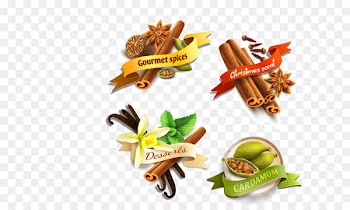 Spice Food Ingredient Star anise - Vector spices 