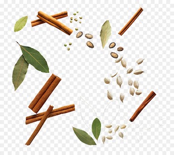 Spice Seasoning Cinnamon - Fennel pepper seasoning spices 