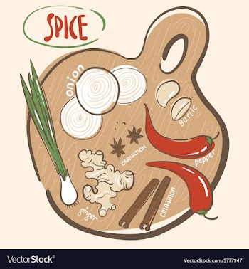 Spices set vector image