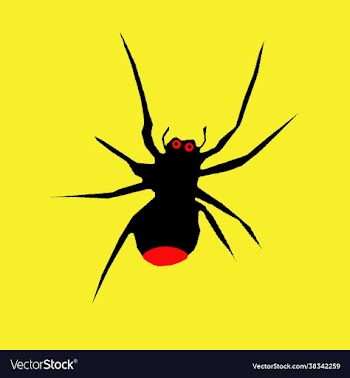 spider