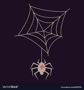 Spider and torn web scary spiderweb of halloween vector image