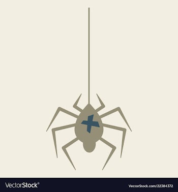 Spider and torn web scary spiderweb of halloween vector image
