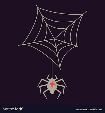 Spider and torn web scary spiderweb of halloween vector image