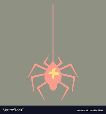 Spider and torn web scary spiderweb of halloween vector image