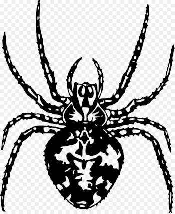 Spider Arthropod Pixabay Illustration - Vector spider 