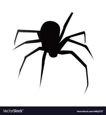 spider black widow black bug silhouette