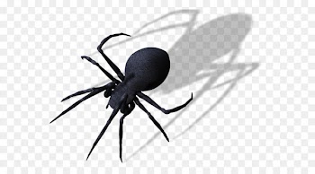 Spider Clip art - Spider PNG Clipart Image 