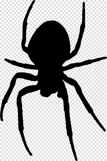 Spider Computer Icons , spider web transparent background PNG clipart