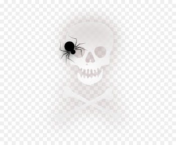 Spider Halloween Clip art - Vector material Halloween spider 