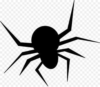 Spider Halloween costume Clip art - Halloween Spider PNG Photos 