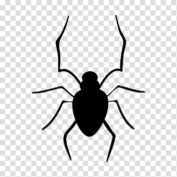 Spider Halloween Drawing, black spider transparent background PNG clipart