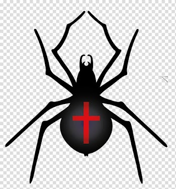Spider Halloween , Halloween Spider transparent background PNG clipart
