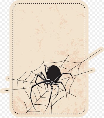 Spider Icon - Spider Border 