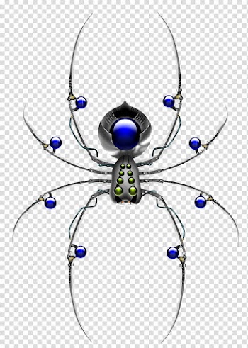 Spider Insect, spider transparent background PNG clipart