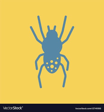 Spider insect vector image