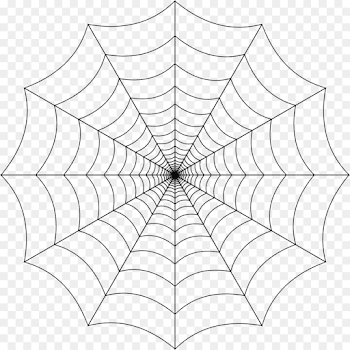 Spider Line Art png download - 2400*2400 - Free Transparent Spider ...