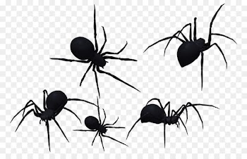 Spider-Man Southern black widow Redback spider Clip art - spider 