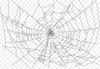 Spider-Man Spider web Clip art - spider web 