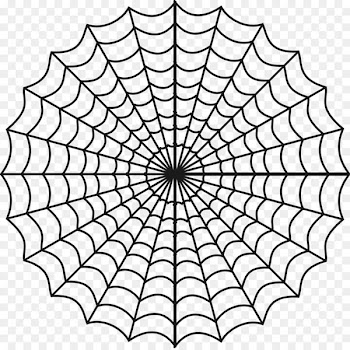 Spider-Man Spider web Drawing - spider 