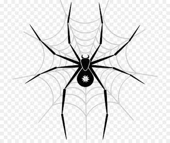 Spider-Man Vector graphics Spider web Portable Network Graphics - spider 