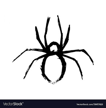 spider on white background