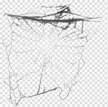 Spider Paper Pattern, Black and white spider web spider transparent background PNG clipart
