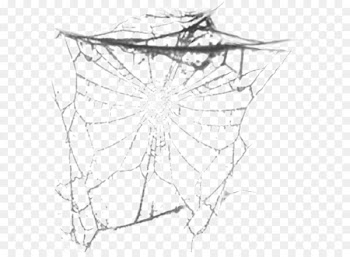Spider Photography Paper Pattern - Black and white spider web spider 