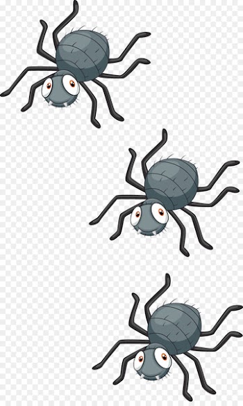 Spider Royalty-free Clip art - Spider vector 