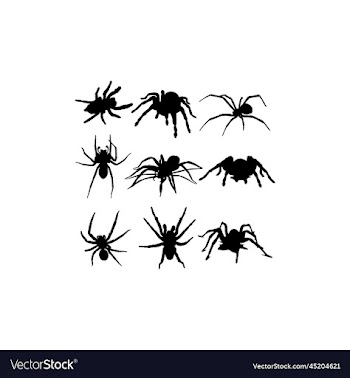 spider silhouette collection set creative design